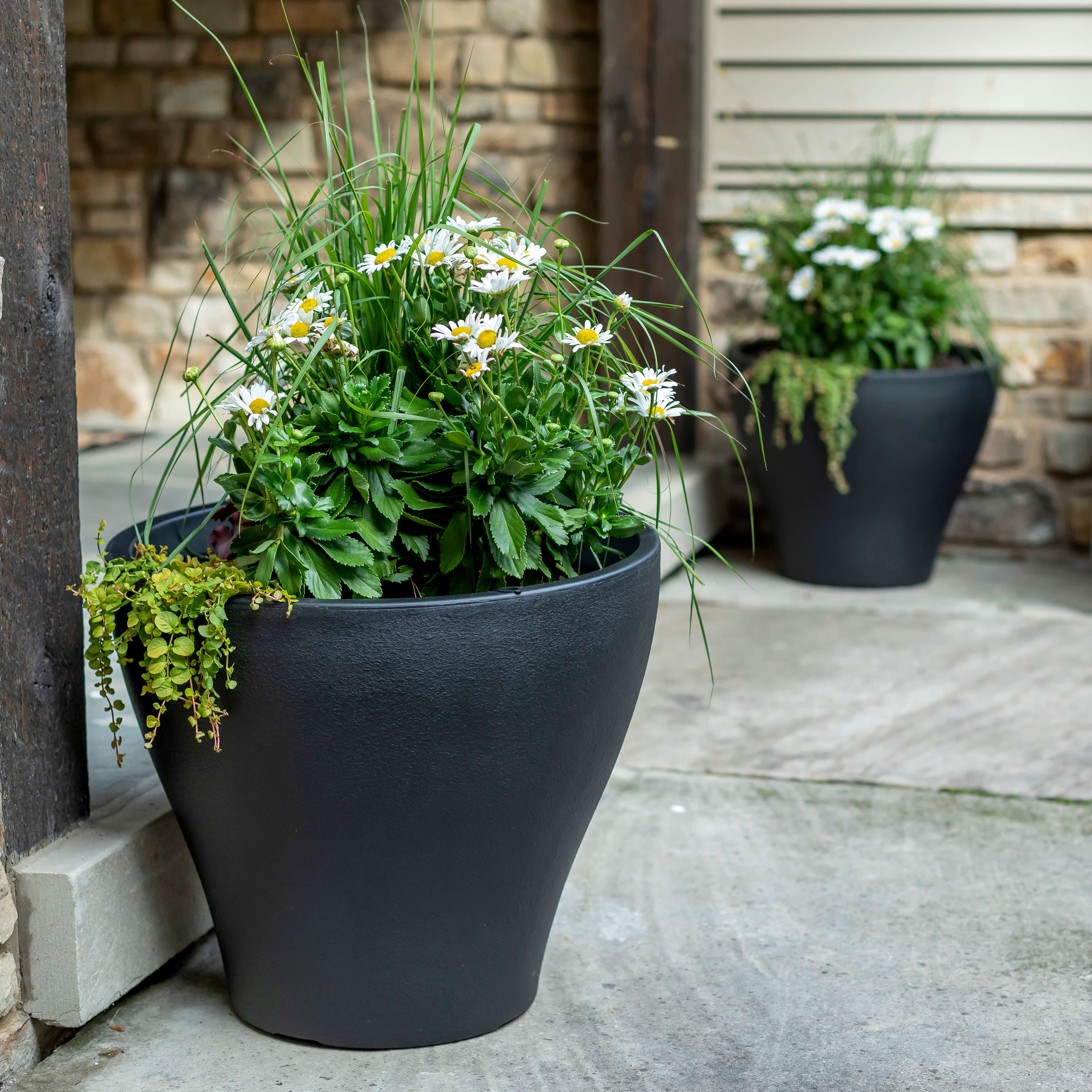 Fernway Planter - Onyx Black
