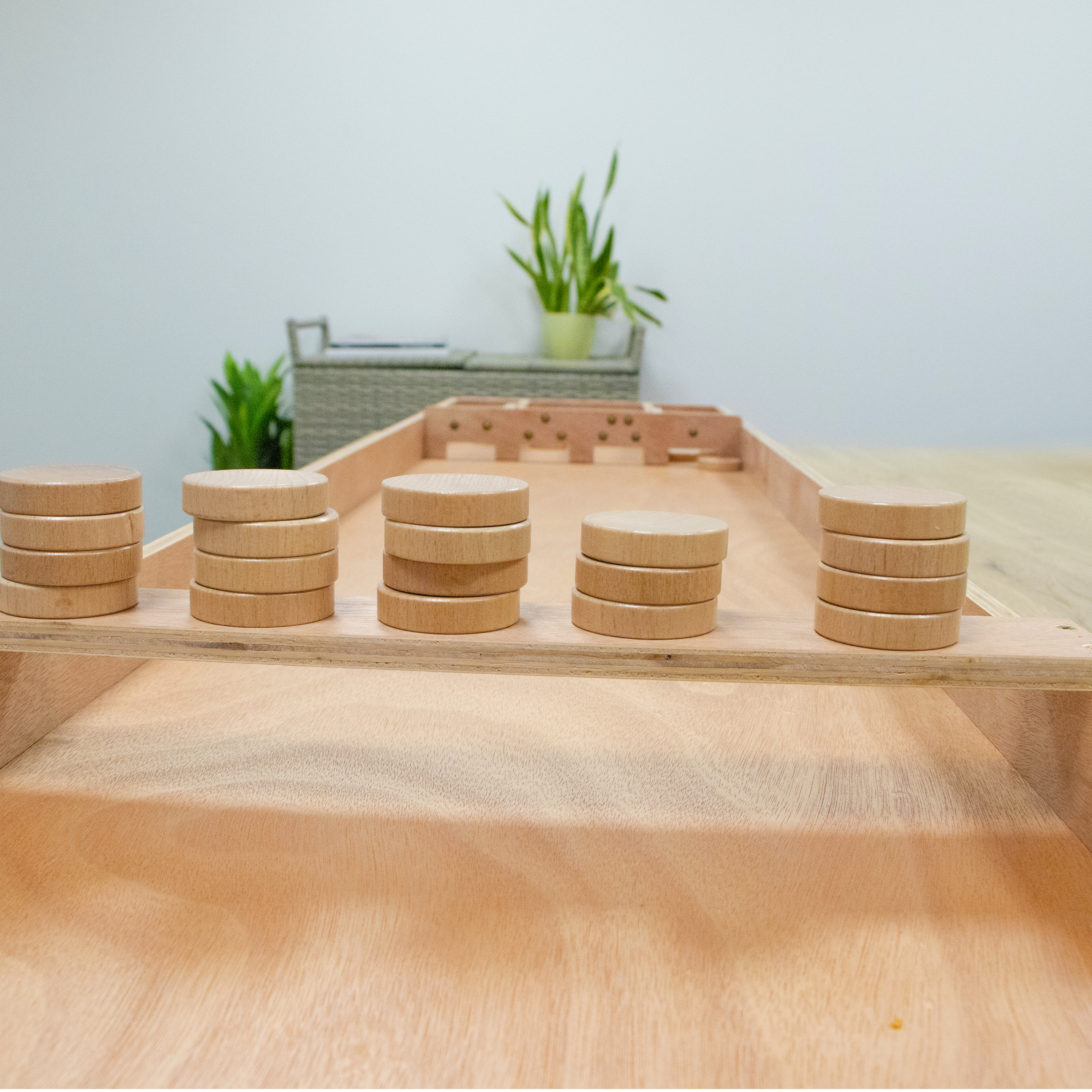 Dutch Shuffleboard - Classic 
