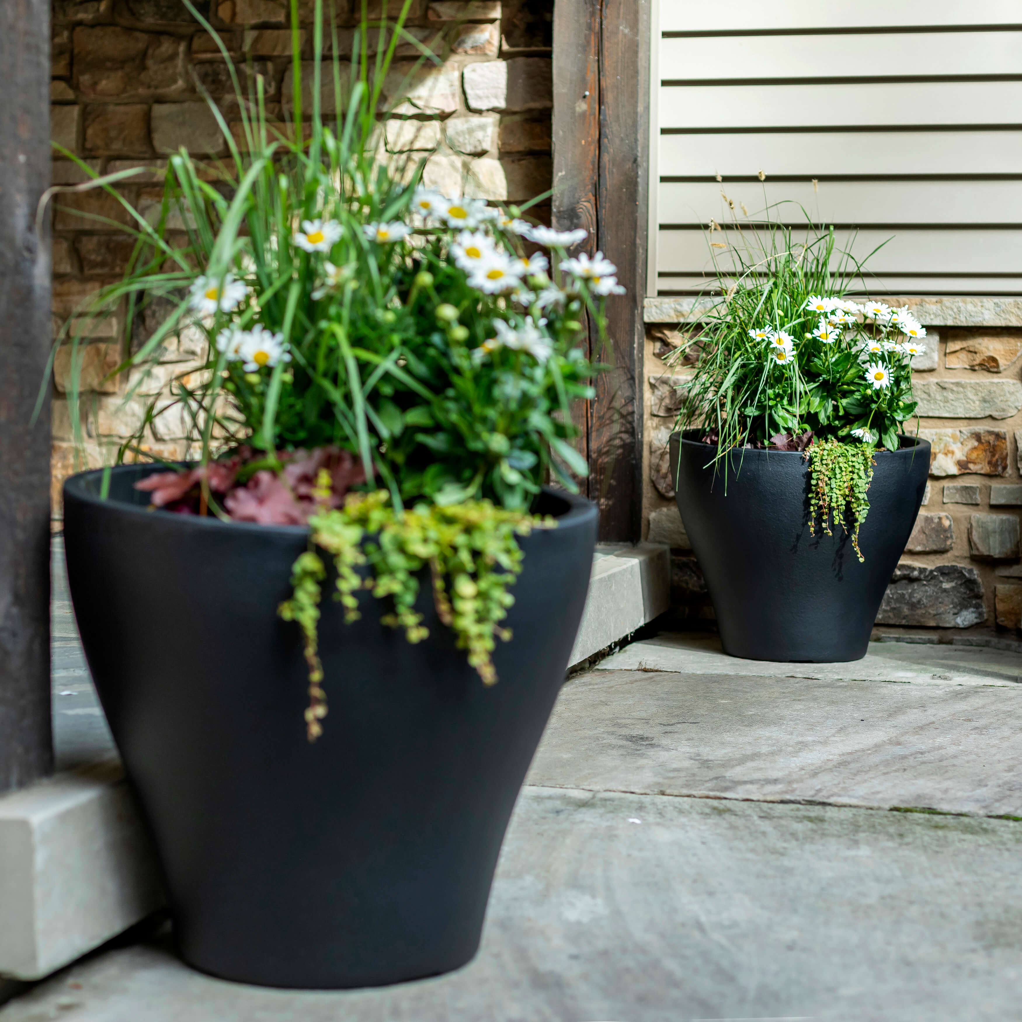 Fernway Planter - Onyx Black