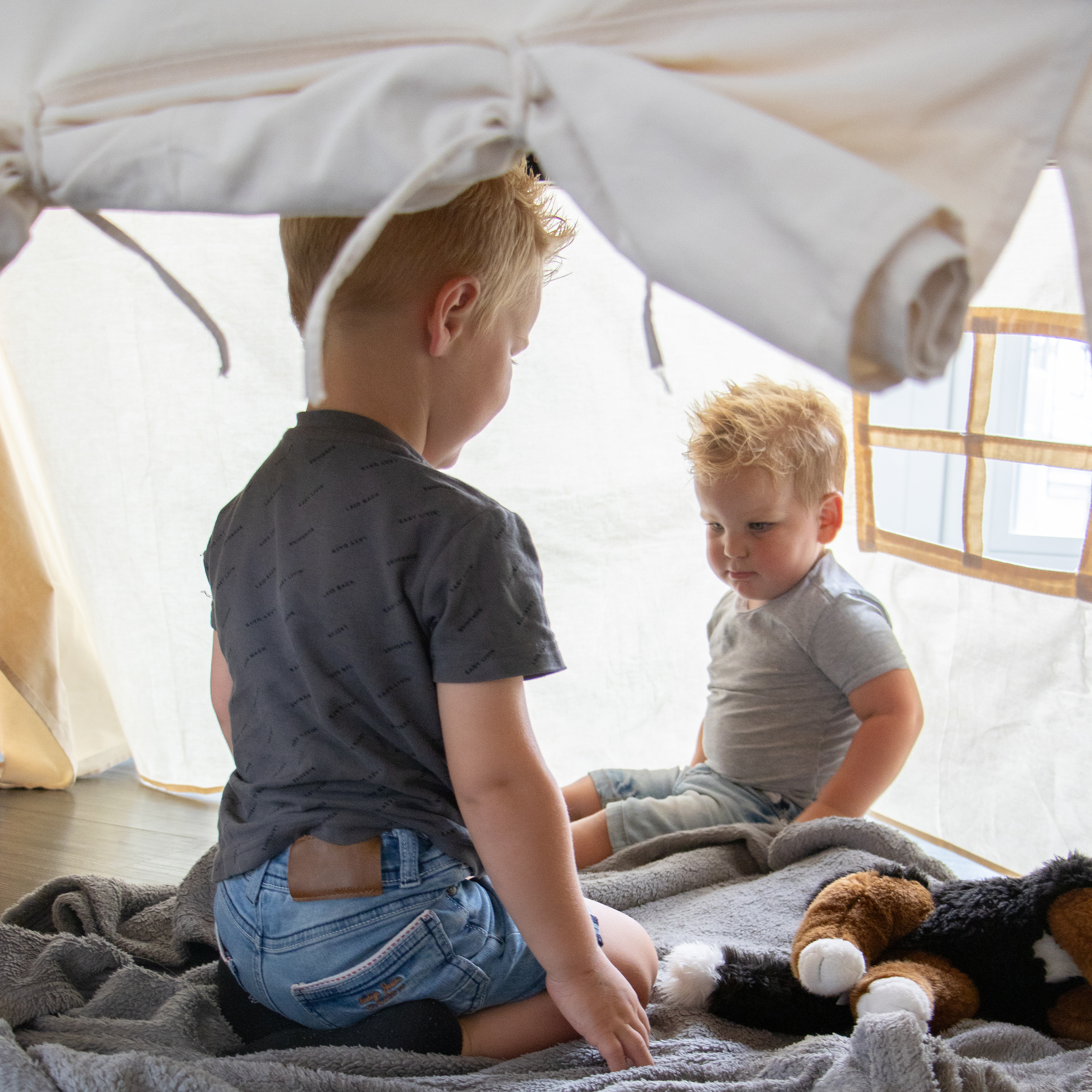 Nova Tafeltent Crème