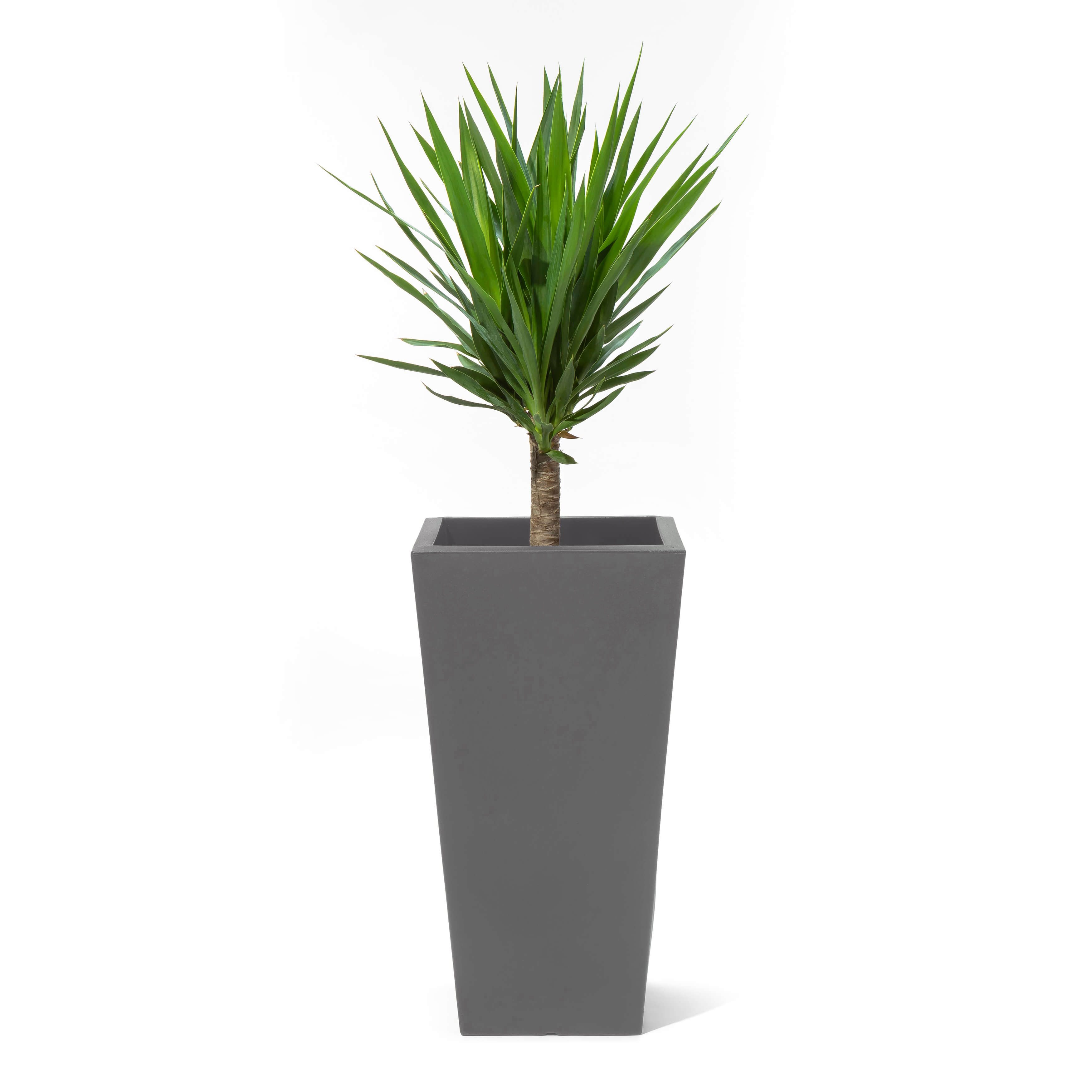 Tremont Tall Square Tapered Planter - Dark Cedar