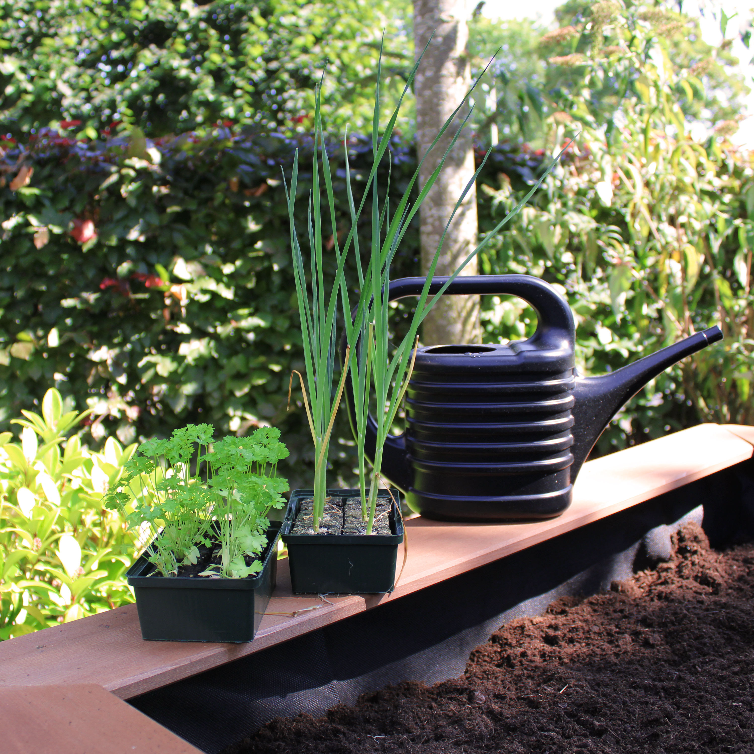 Linda Sand & Growing Table Brown Linda Sand & Growing Table Brown