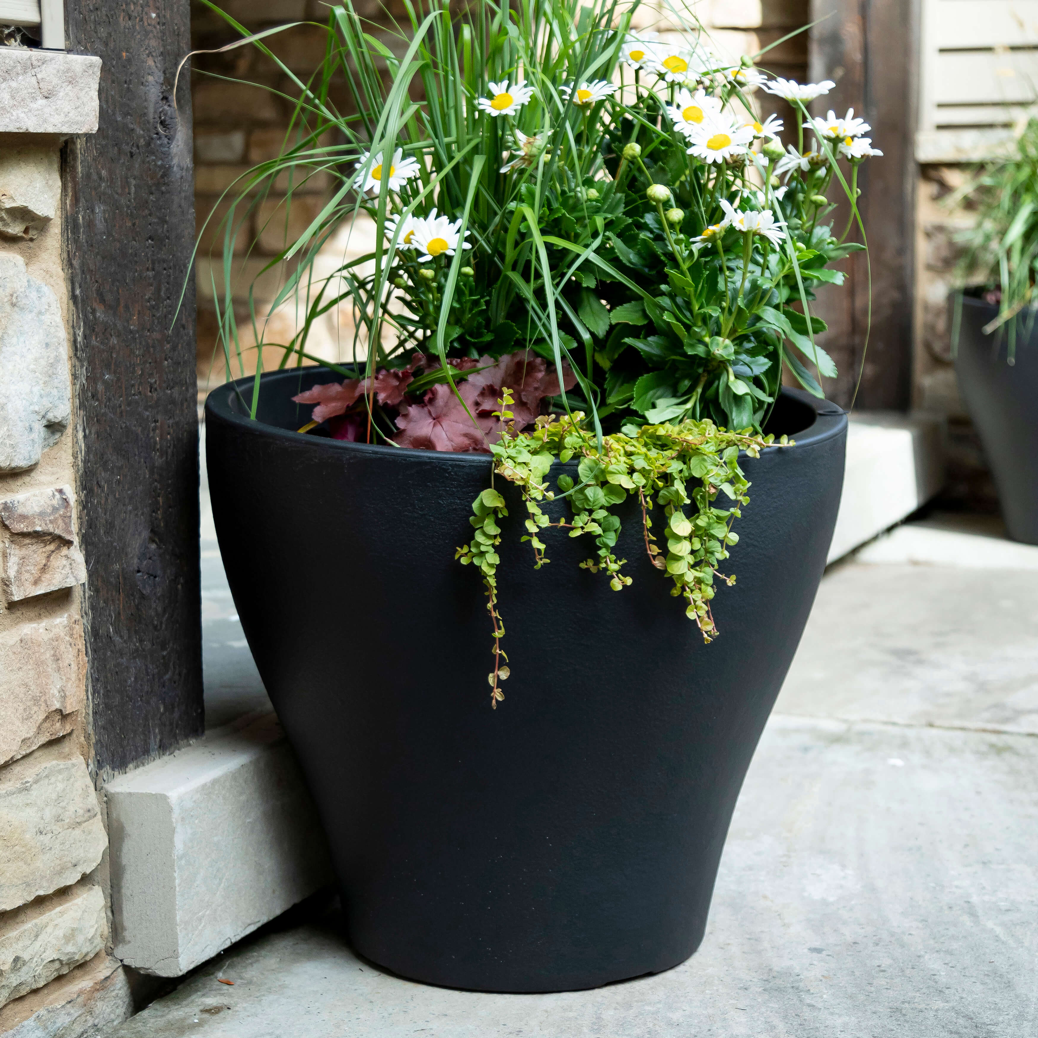 Fernway Planter - Onyx Black