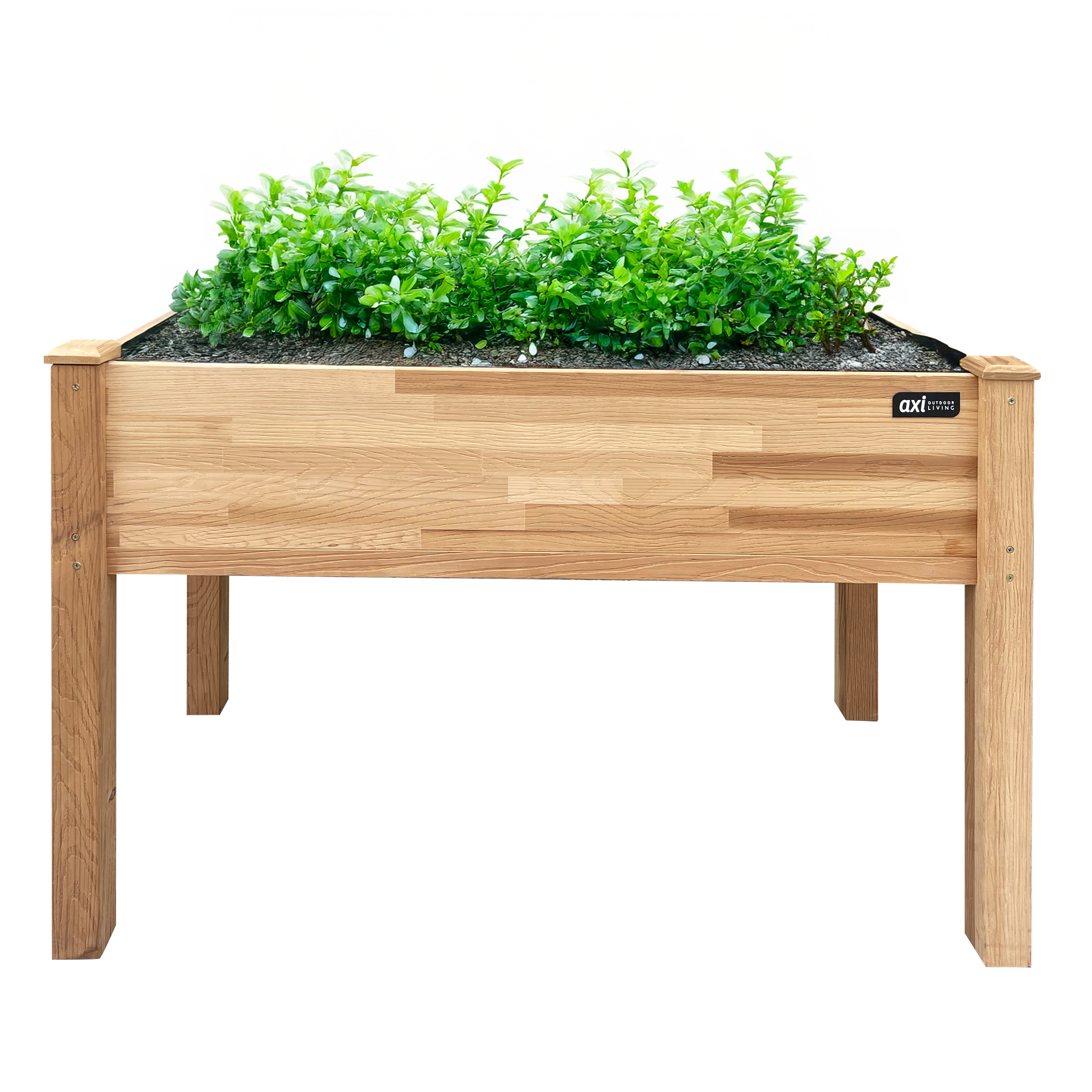 Verhoogde Plantenbak