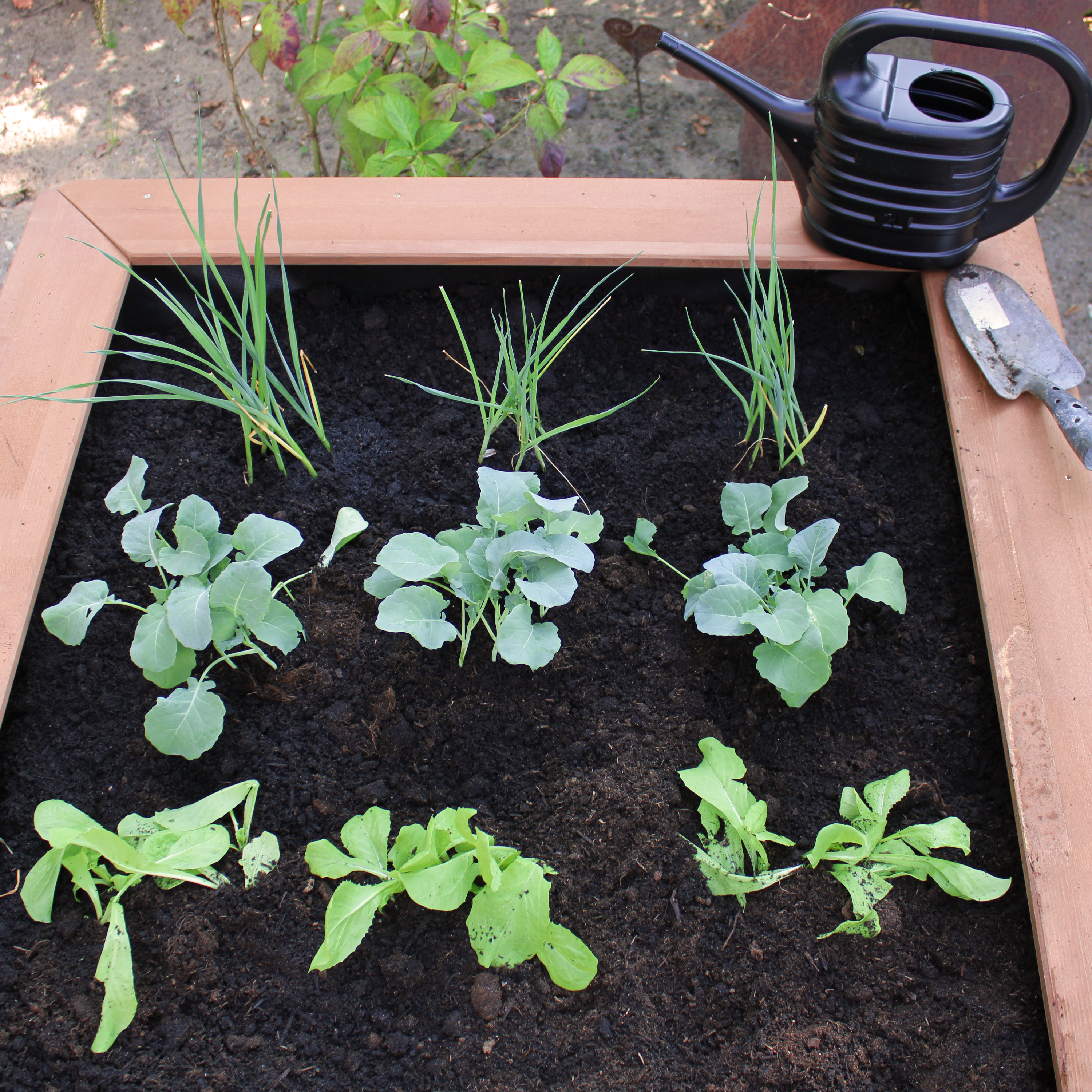 Linda Zand & Kweektafel Bruin