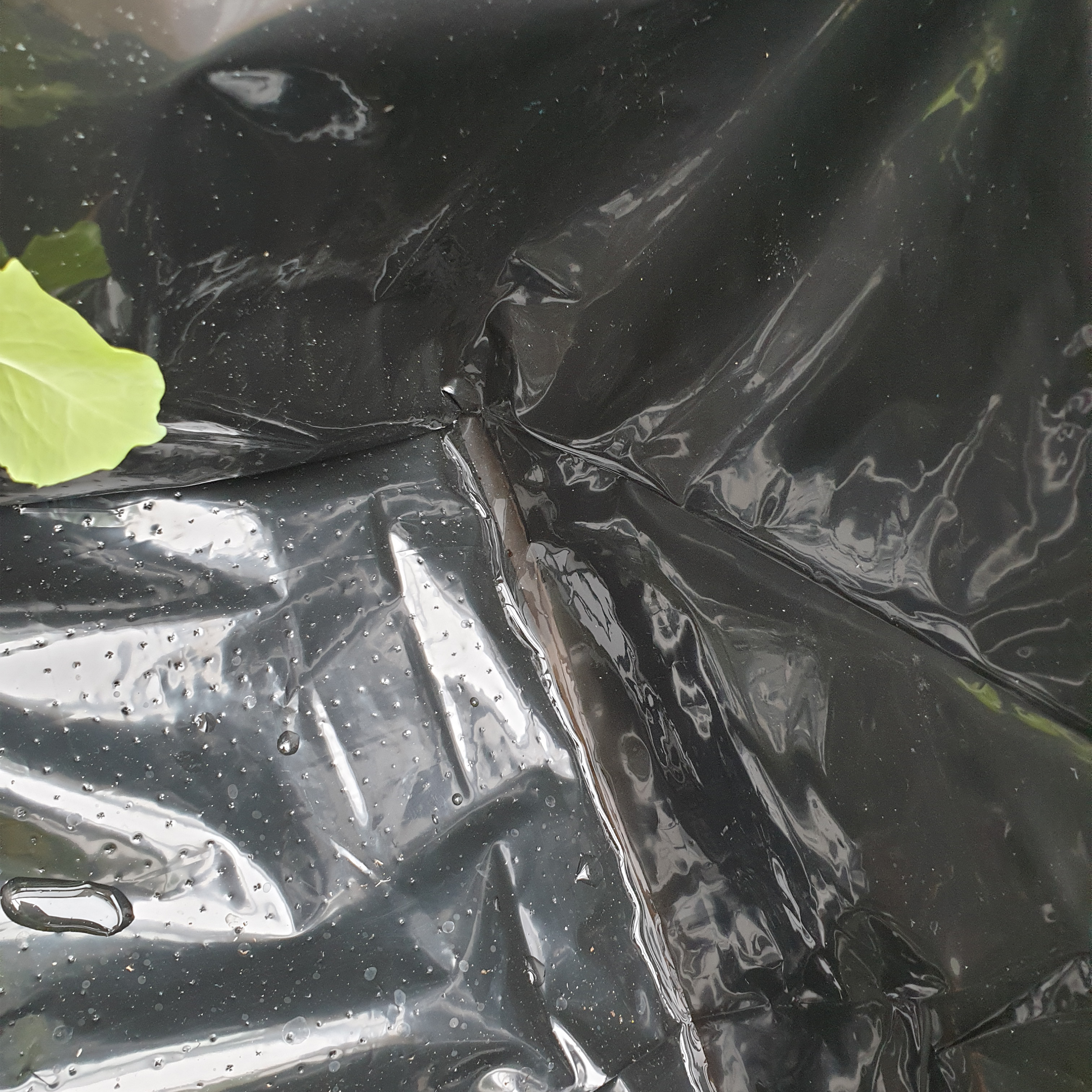 Kweektafel met broeikas en gronddoek Bruin/wit