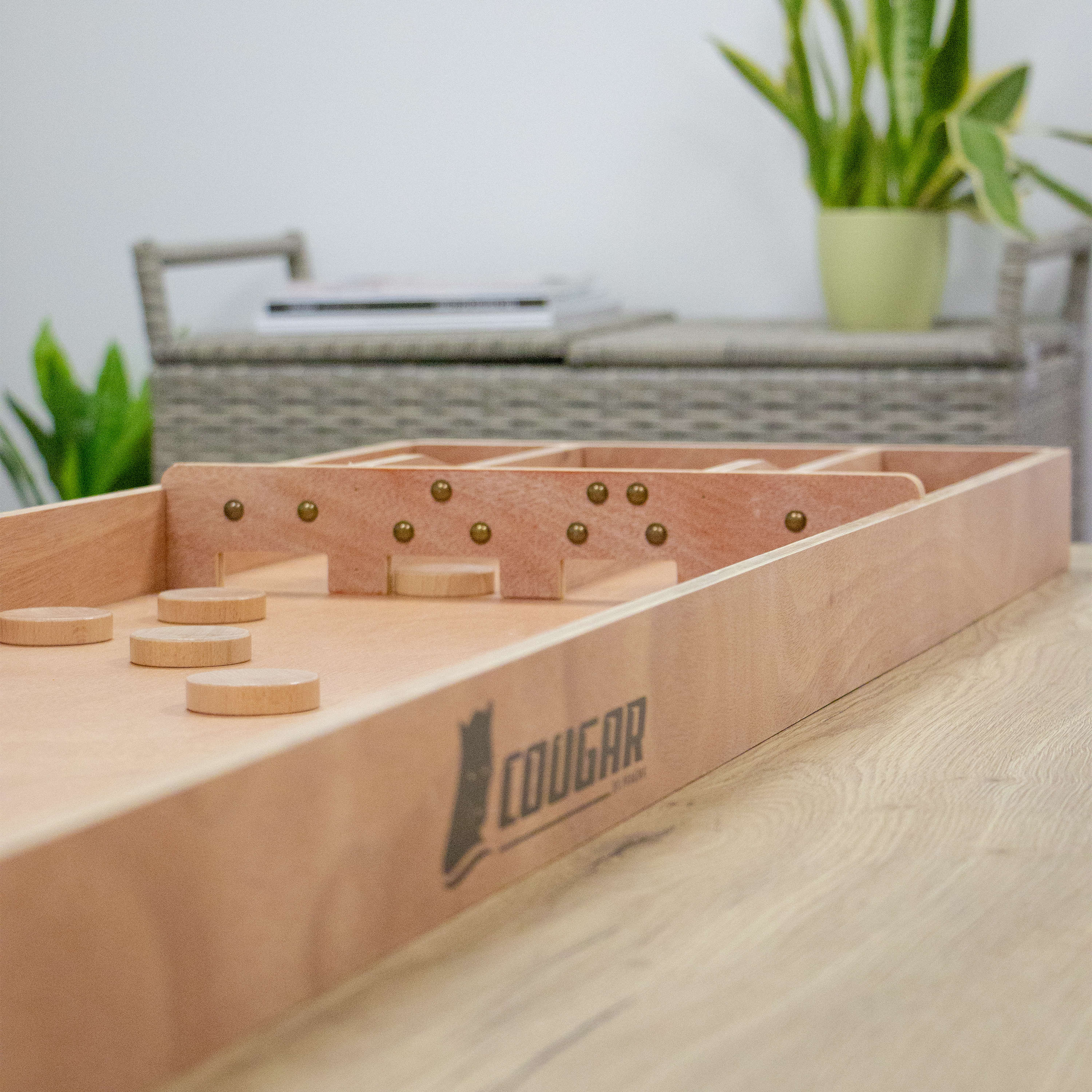 Dutch Shuffleboard - Classic 